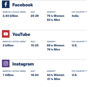 2020 social media users by demographic